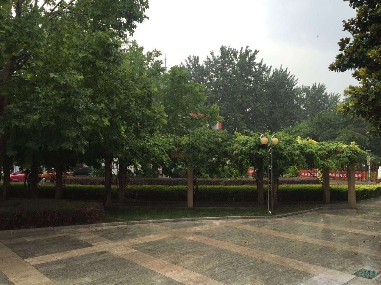 图片1