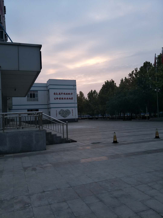 图片1