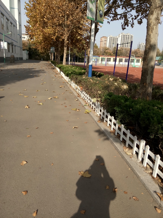 图片1