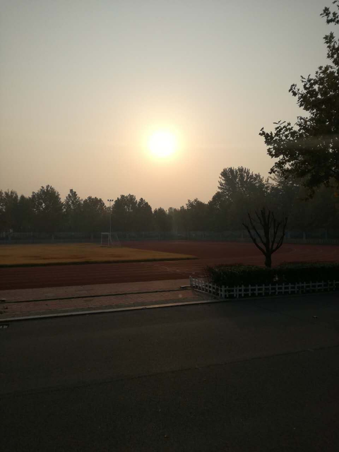 图片1