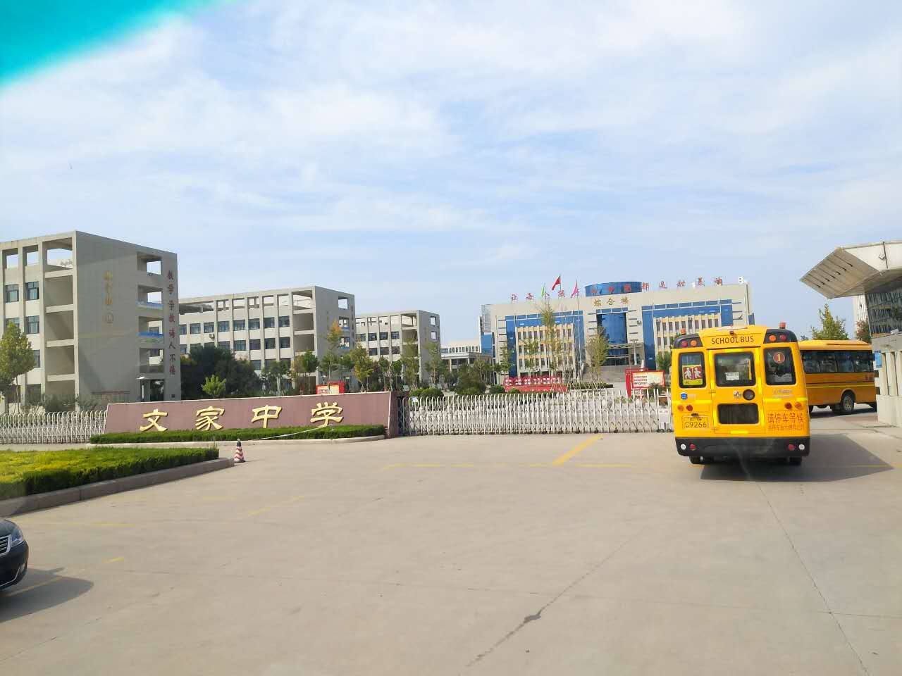图片1