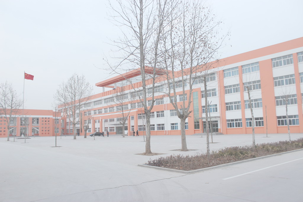 图片1