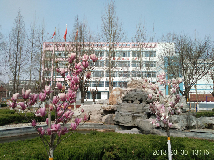 图片1