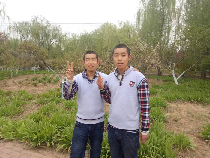 图片1