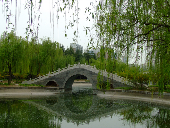 图片1