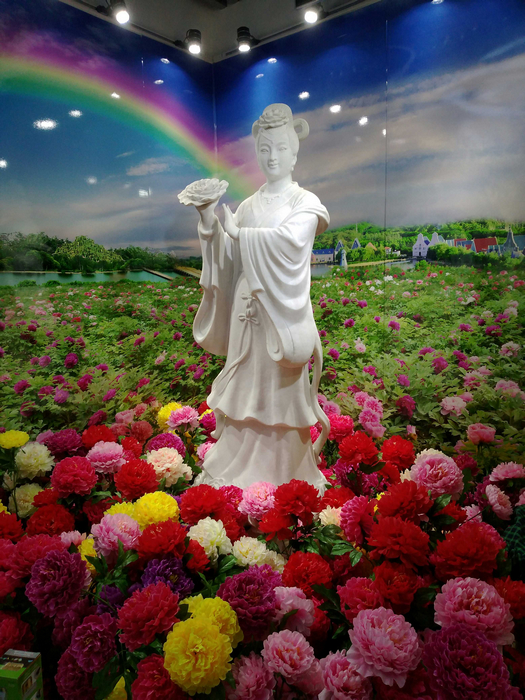 图片1